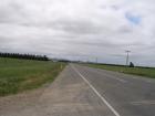 thumbs/NZ_Riki_1636.jpg