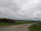 thumbs/NZ_Riki_1637.jpg