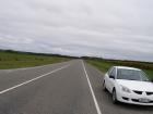 thumbs/NZ_Riki_1638.jpg