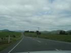 thumbs/NZ_Riki_1643.jpg