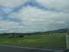 thumbs/NZ_Riki_1645.jpg