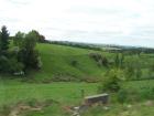 thumbs/NZ_Riki_1648.jpg