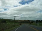 thumbs/NZ_Riki_1649.jpg