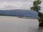 thumbs/NZ_Riki_1650.jpg