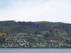 thumbs/NZ_Riki_1654.jpg