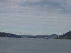 thumbs/NZ_Riki_1655.jpg