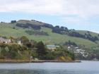 thumbs/NZ_Riki_1656.jpg