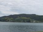 thumbs/NZ_Riki_1657.jpg