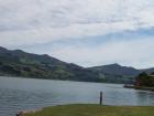 thumbs/NZ_Riki_1658.jpg