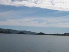 thumbs/NZ_Riki_1659.jpg