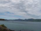 thumbs/NZ_Riki_1661.jpg