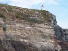 thumbs/NZ_Riki_1663.jpg