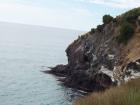 thumbs/NZ_Riki_1664.jpg