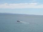 thumbs/NZ_Riki_1665.jpg