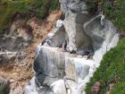 thumbs/NZ_Riki_1671.jpg