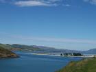 thumbs/NZ_Riki_1675.jpg