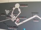 thumbs/NZ_Riki_1682.jpg
