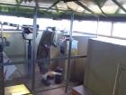 thumbs/NZ_Riki_1684.jpg