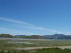 thumbs/NZ_Riki_1700.jpg