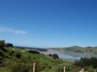 thumbs/NZ_Riki_1701.jpg