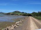 thumbs/NZ_Riki_1702.jpg