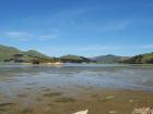thumbs/NZ_Riki_1703.jpg
