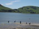 thumbs/NZ_Riki_1705.jpg