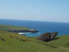 thumbs/NZ_Riki_1706.jpg
