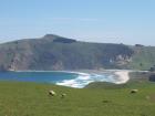 thumbs/NZ_Riki_1707.jpg