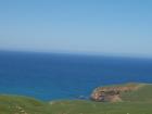 thumbs/NZ_Riki_1708.jpg