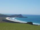 thumbs/NZ_Riki_1709.jpg