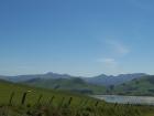 thumbs/NZ_Riki_1710.jpg