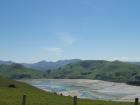 thumbs/NZ_Riki_1712.jpg