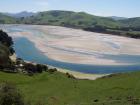 thumbs/NZ_Riki_1714.jpg