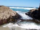 thumbs/NZ_Riki_1718.jpg