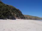 thumbs/NZ_Riki_1723.jpg