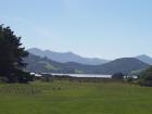 thumbs/NZ_Riki_1725.jpg