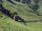 thumbs/NZ_Riki_1726.jpg