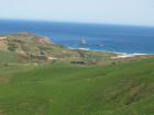 thumbs/NZ_Riki_1729.jpg