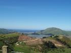 thumbs/NZ_Riki_1730.jpg