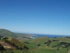 thumbs/NZ_Riki_1731.jpg