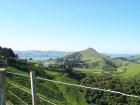 thumbs/NZ_Riki_1732.jpg