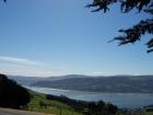 thumbs/NZ_Riki_1734.jpg