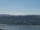 thumbs/NZ_Riki_1736.jpg