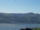 thumbs/NZ_Riki_1737.jpg
