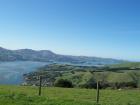 thumbs/NZ_Riki_1739.jpg