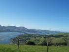 thumbs/NZ_Riki_1741.jpg