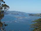 thumbs/NZ_Riki_1742.jpg