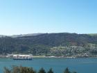thumbs/NZ_Riki_1744.jpg