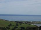 thumbs/NZ_Riki_1745.jpg